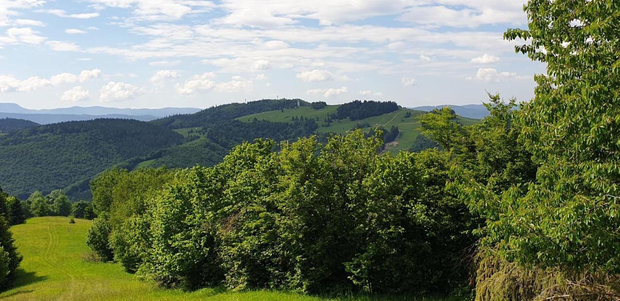 Dumbier Apartment *